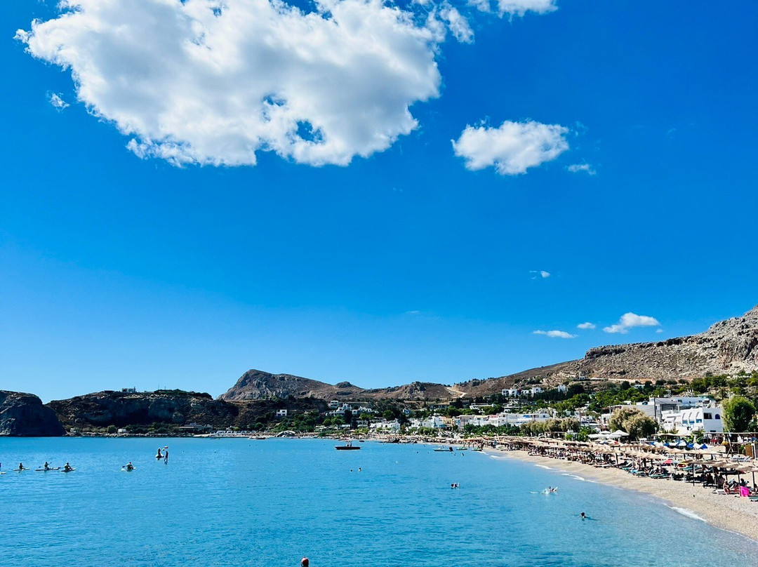 Alpha Stegna Sun主图