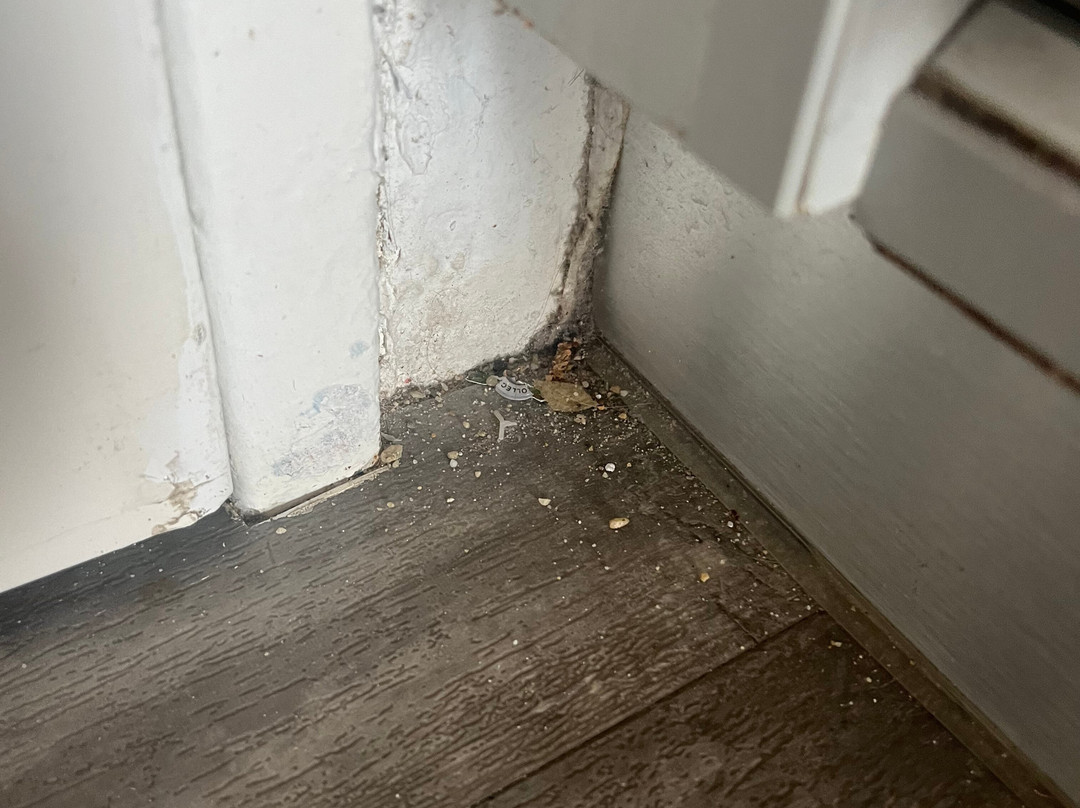 斯基亚索斯岛宫殿酒店主图