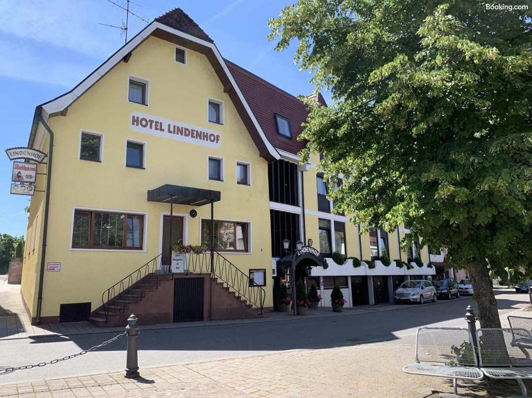 Hotel Lindenhof主图