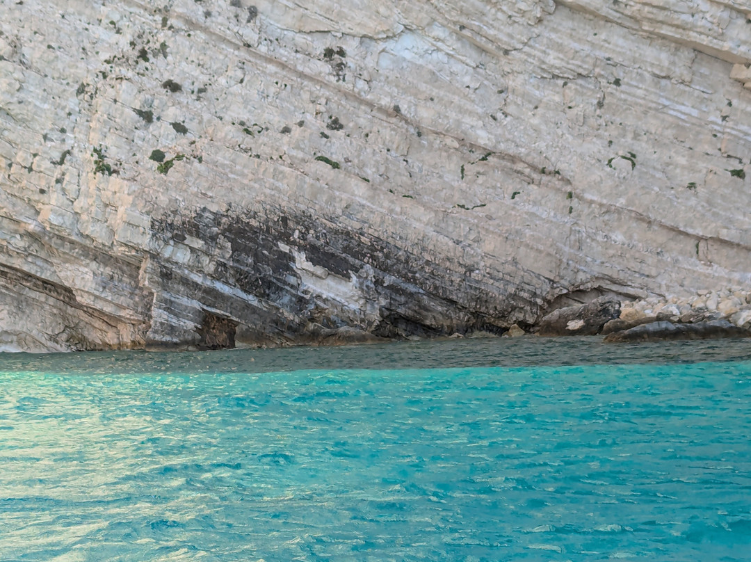 Dolphin Boat Rentals-利姆尼科利必去景点