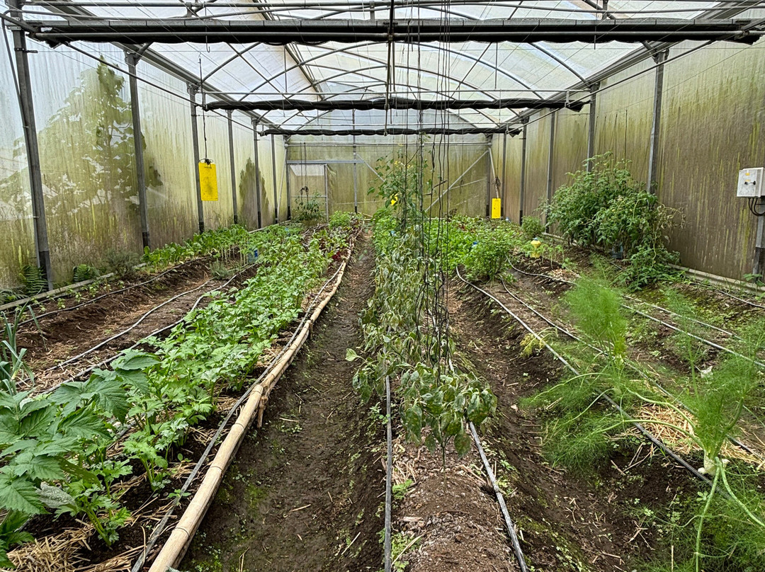 Hidden Valley Permaculture Farm景点图片
