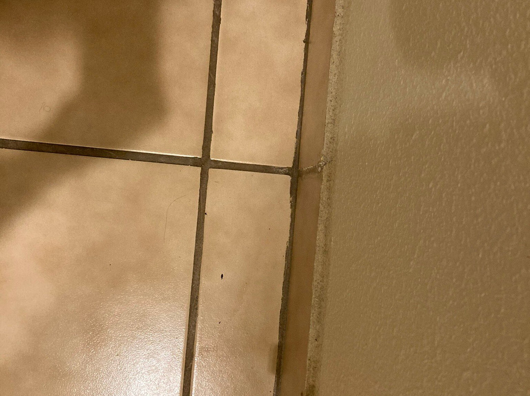 Comfort Suites South Point - Huntington主图