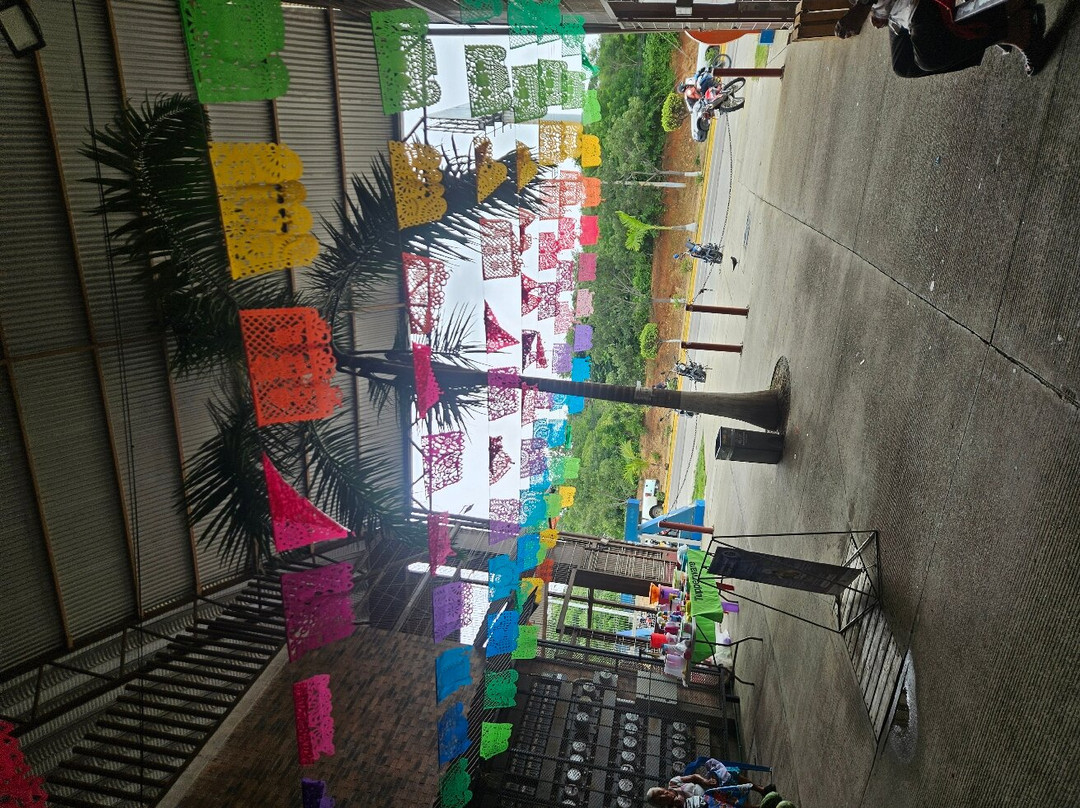 Mercado Zicatela-埃斯孔迪多港必去景点