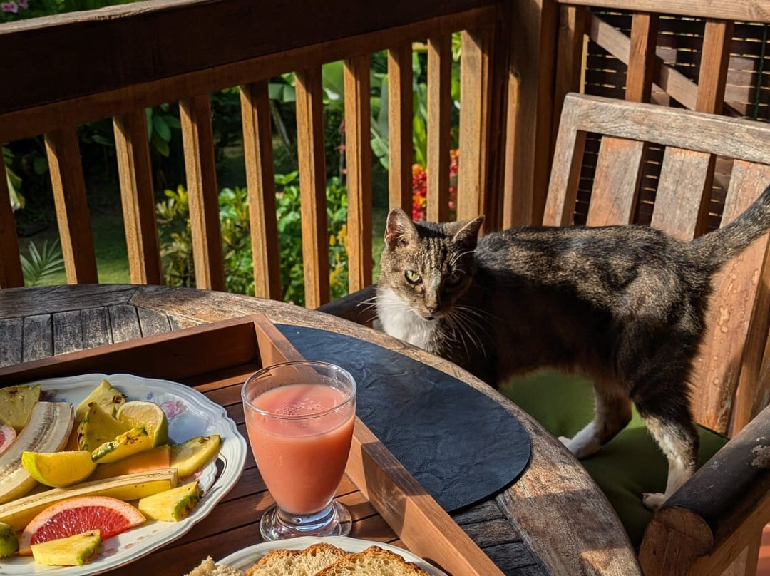 Habitation Getz主图