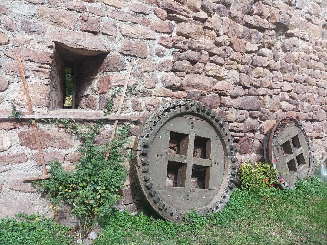 Castel Boymont景点图片