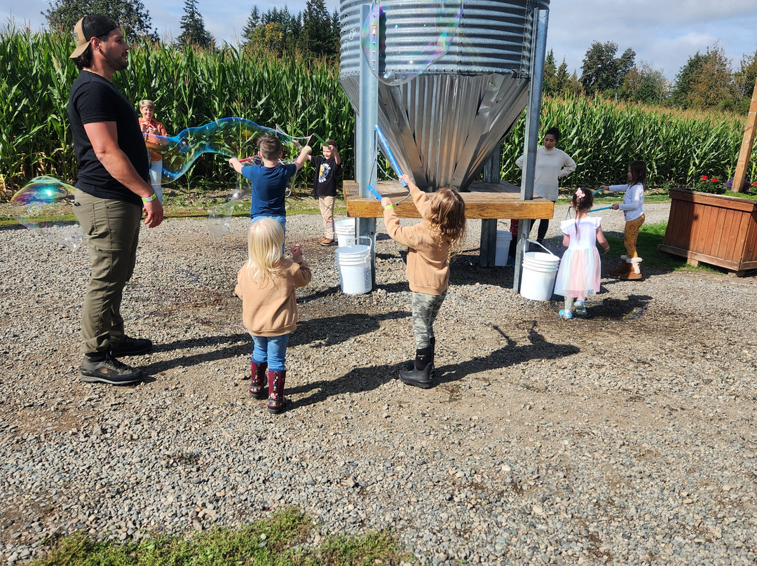 Maris Farms-Buckley必去景点