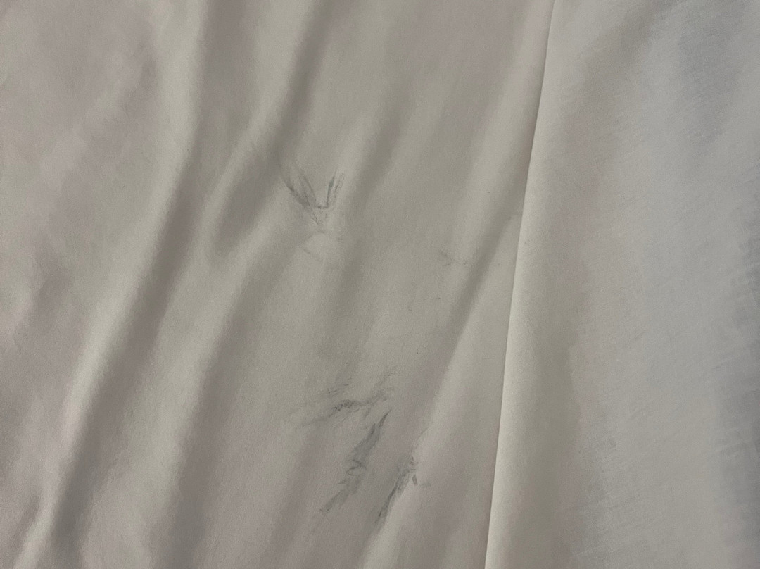 Super 8 by Wyndham Defuniak Springs主图