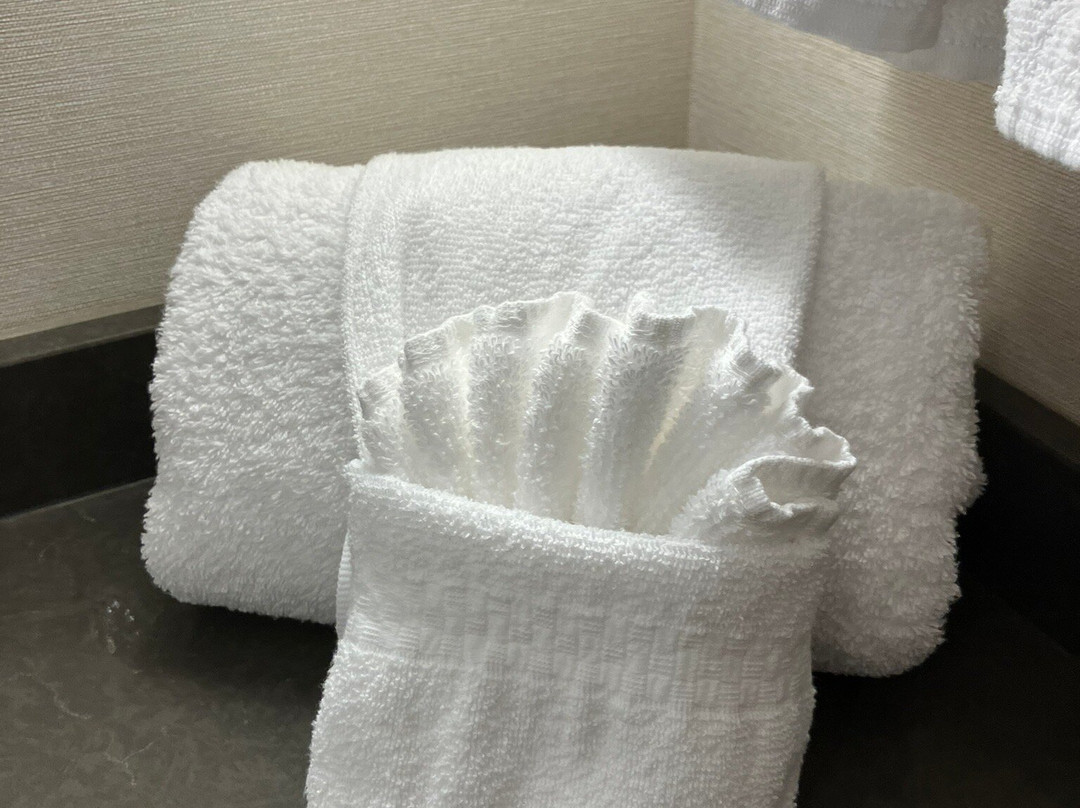 Fairfield by Marriott Inn & Suites Coastal Carolina Conway主图