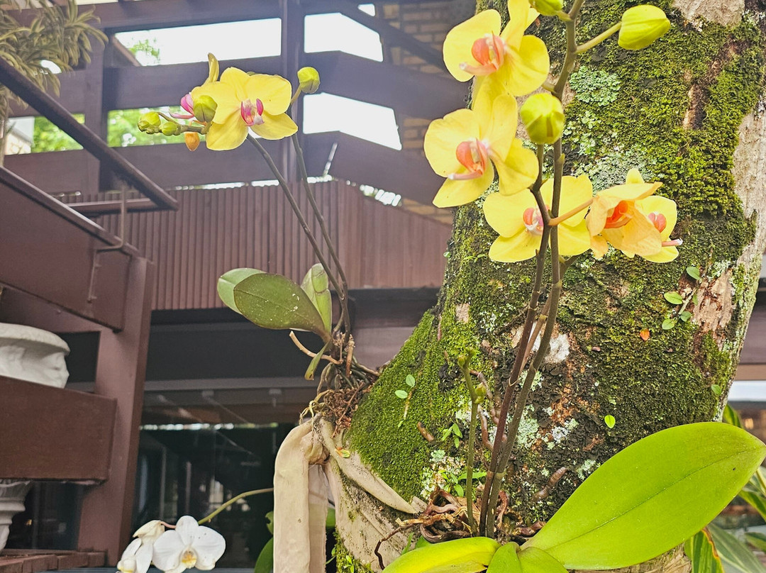 Nova Pousada dos Chás主图