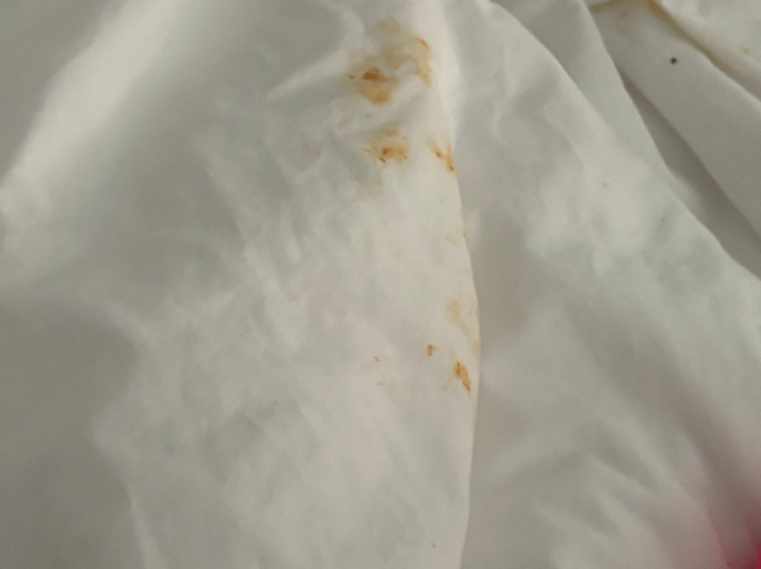 Wingate by Wyndham Savannah Gateway主图