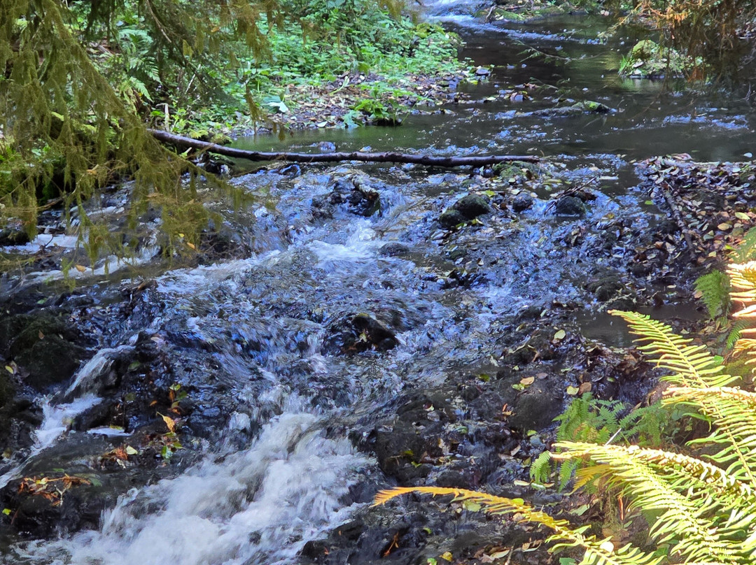 Ludlow Falls Interpretive Trail景点图片