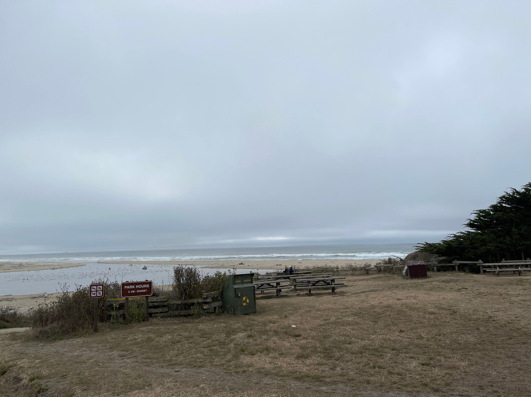 San Gregorio State Beach-San Gregorio必去景点