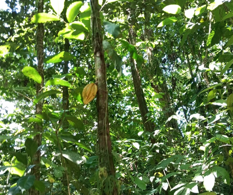 Green Eco Park CR-El Tanque必去景点
