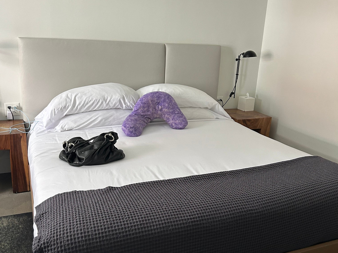 萨拉托加市中心汽车旅馆主图