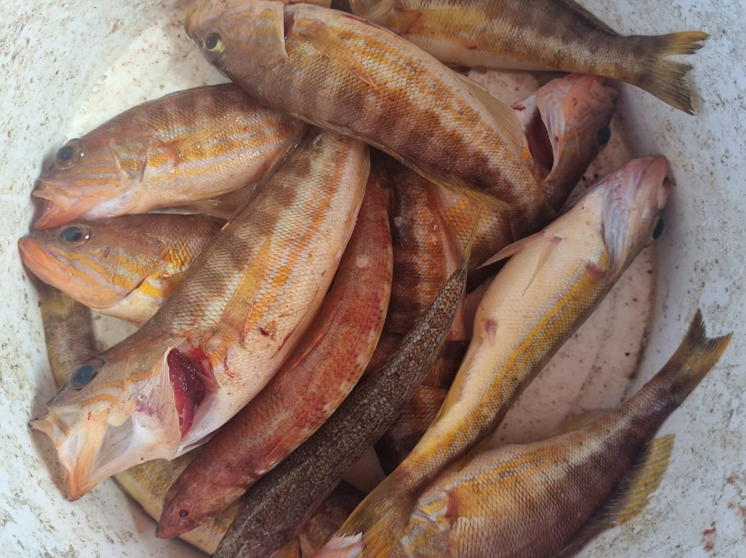 The Angler-帕福斯必去景点