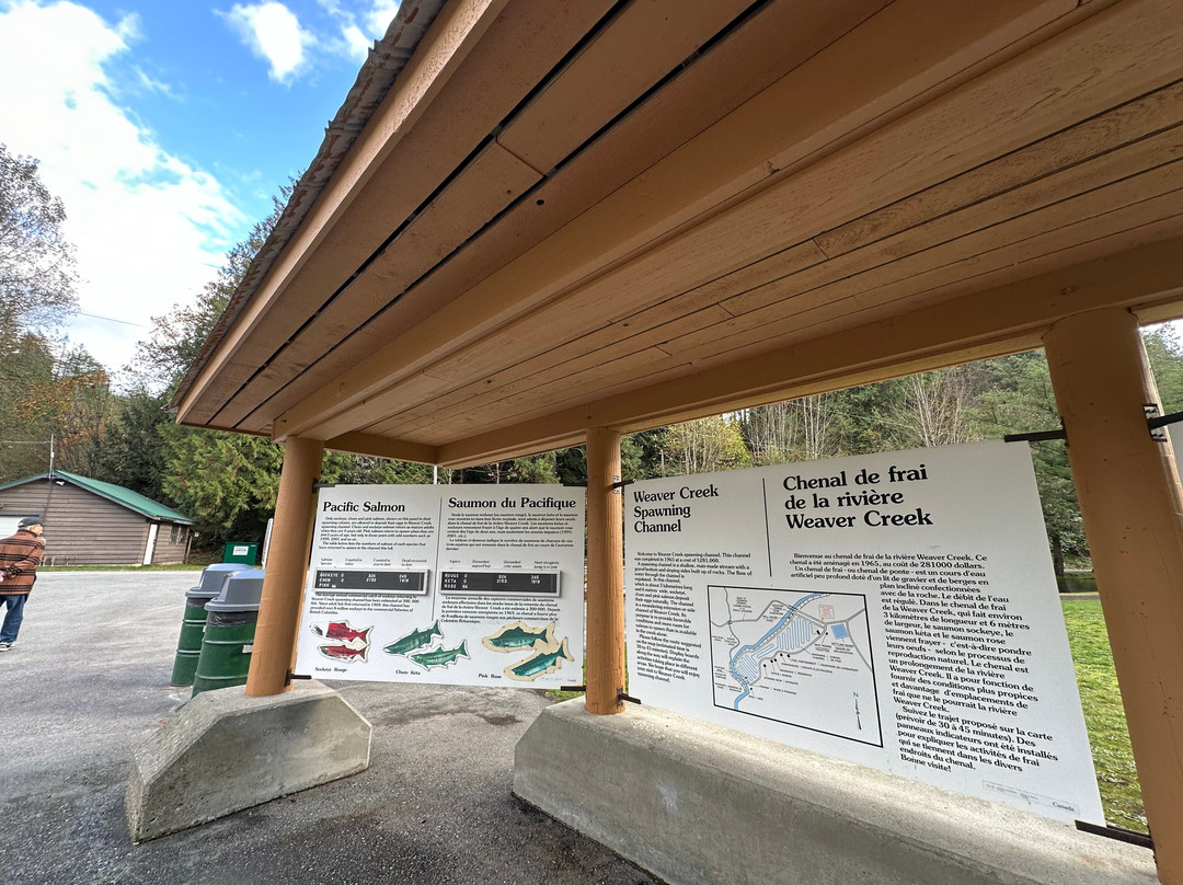 Weaver Creek Spawning Channel Recreation Site