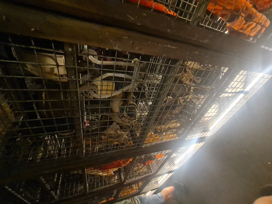 Star Wars Rise of The Resistance-奥兰多必去景点