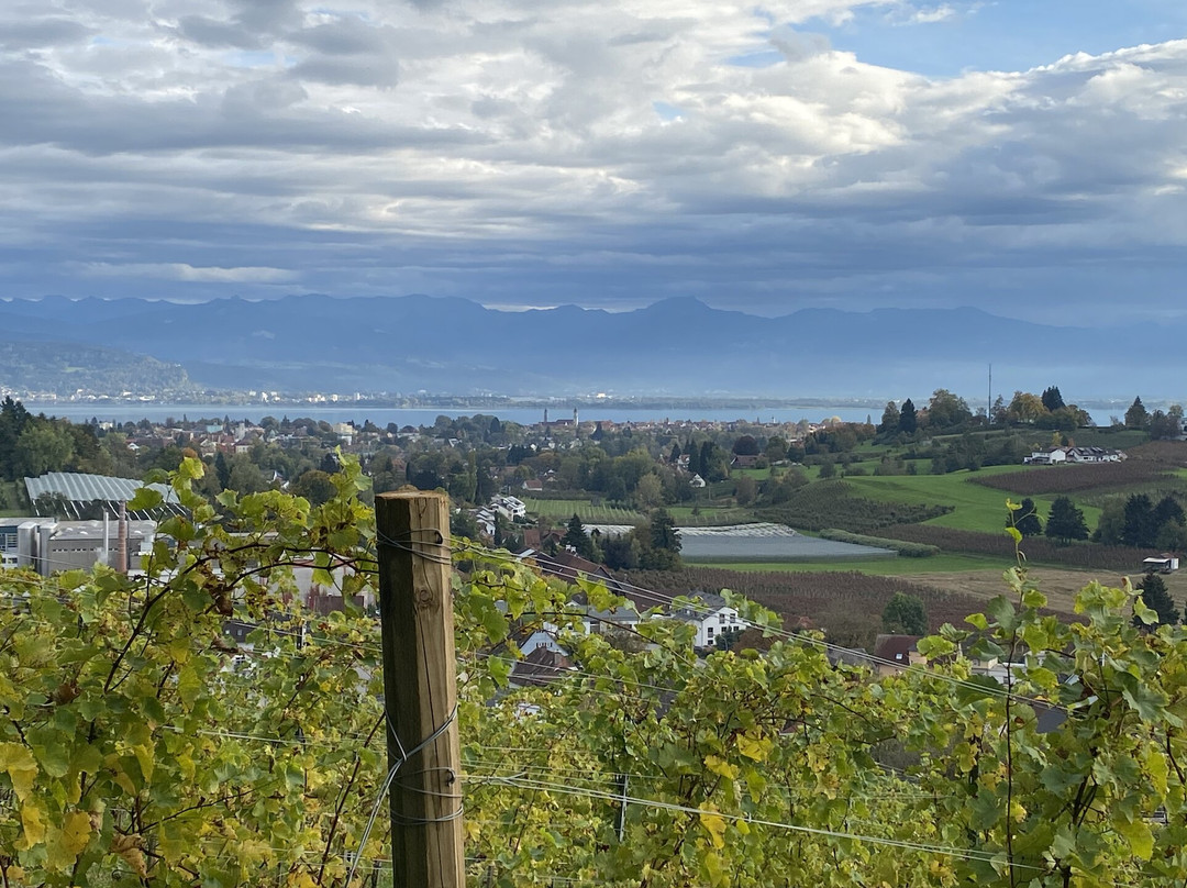Weingut Haug-林道必去景点
