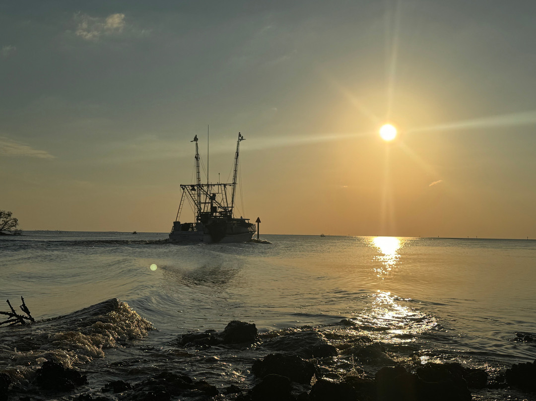 Nature Coast Inn & Cottages主图