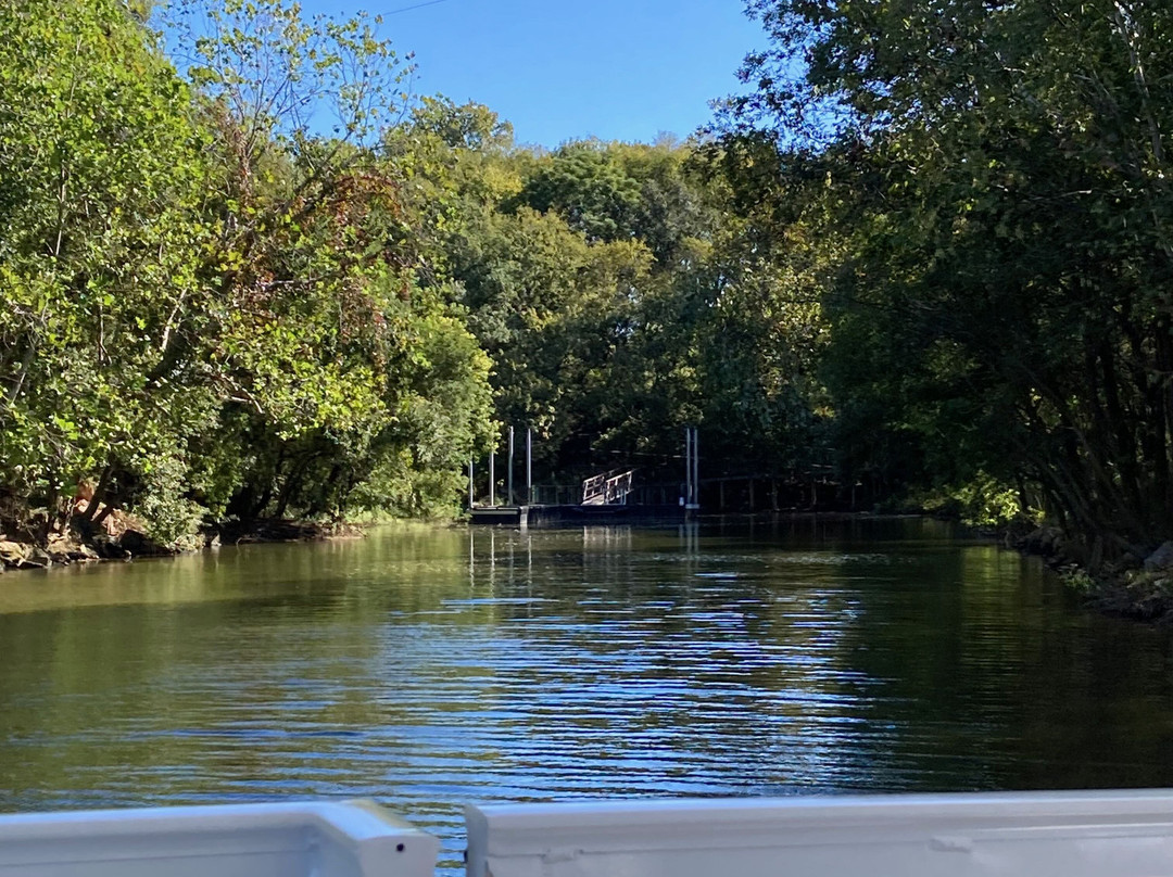Freedom Monument Sculpture Park-蒙哥马利必去景点