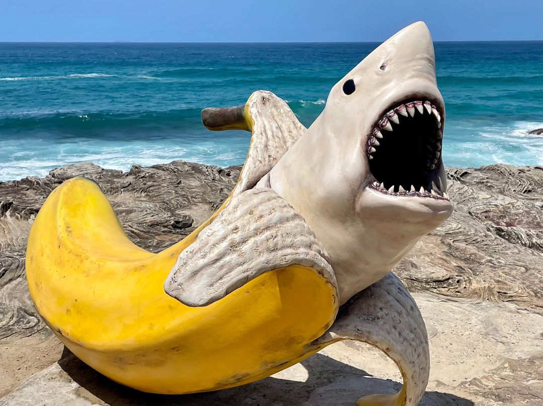 Sculpture By The Sea-邦迪必去景点