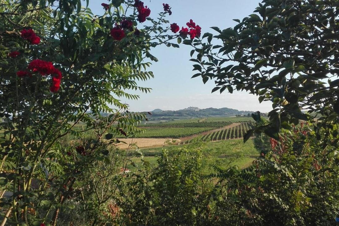 Agriturismo la Chiesina