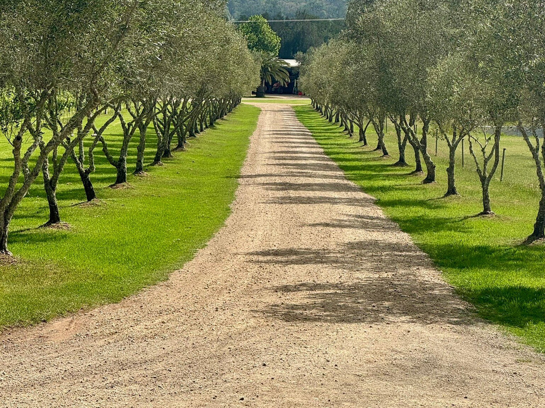 Krinklewood Vineyard-Broke必去景点