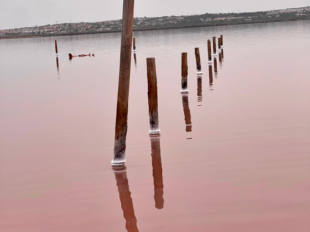 Laguna Salada de Torrevieja景点图片