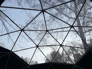 Clear Sky Resorts - Grand Canyon - Unique Sky Domes-酒店景观