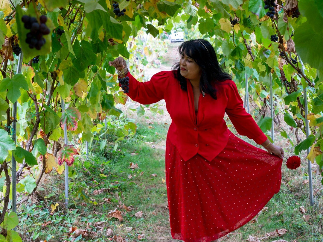 Shangrila Farm-米逊必去景点