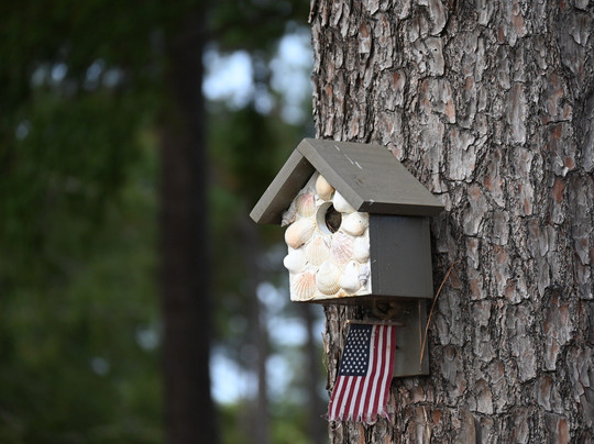 International World Tour Golf-美特尔海滩必去景点