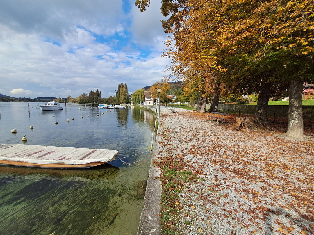 Hafen Stein Am Rhein-施泰因必去景点