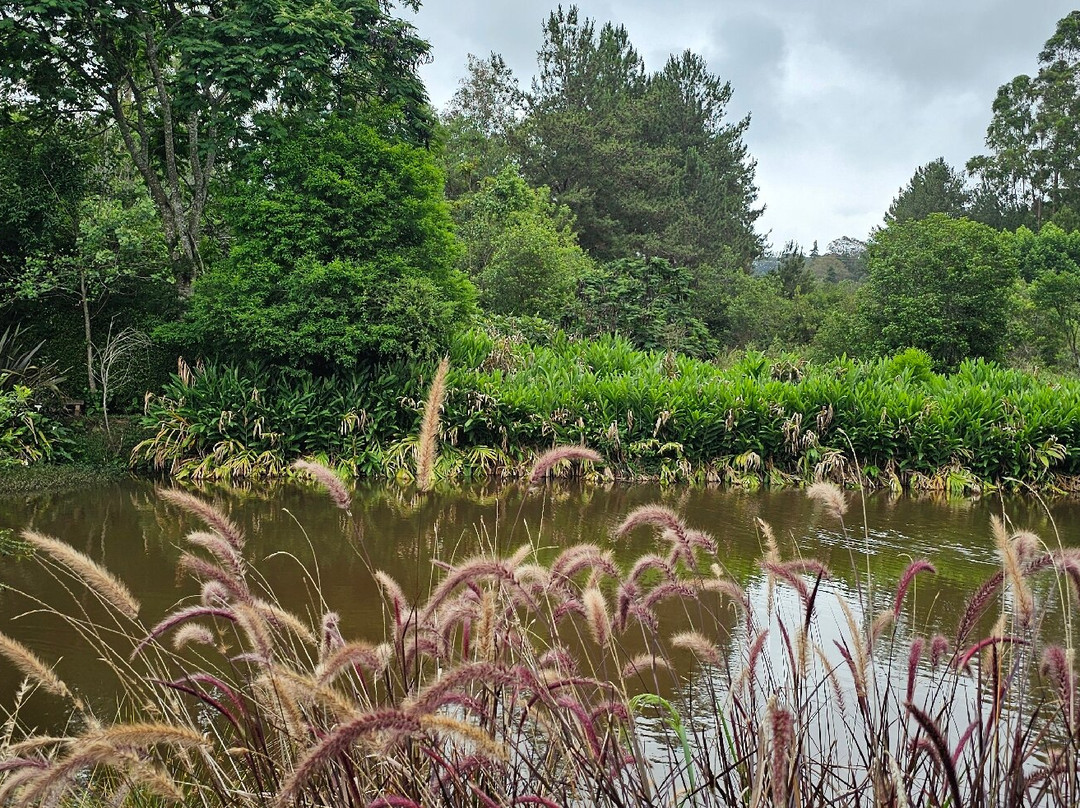 Estudio Domingos Totora-Maria da Fe必去景点