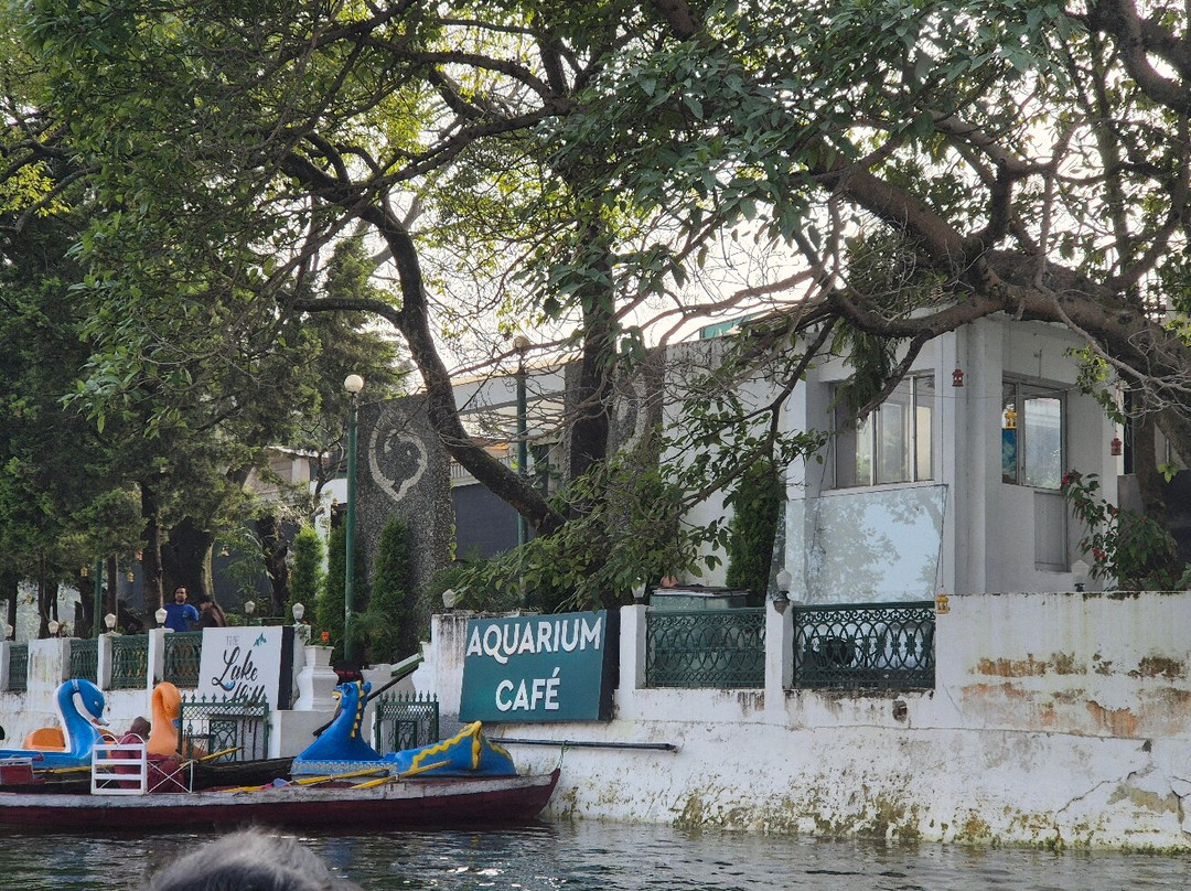 Aquarium Island Café景点图片