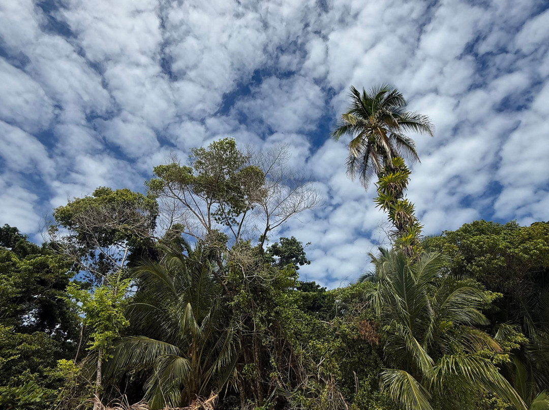 Bocas Islands Adventours景点图片