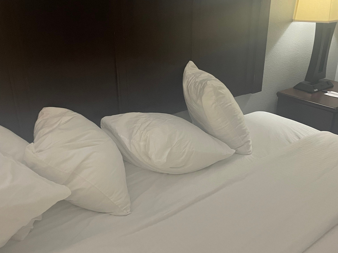 Best Western Paramus Hotel & Suites主图