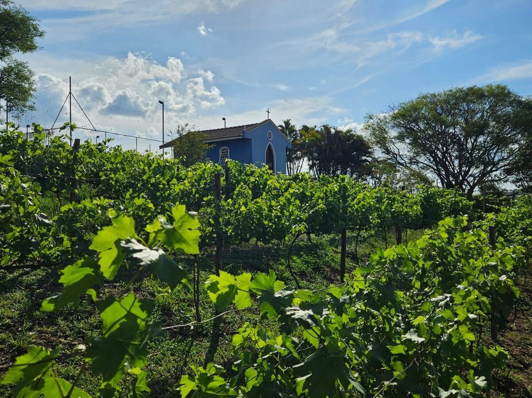 Vinícola Ifanger-维涅杜必去景点