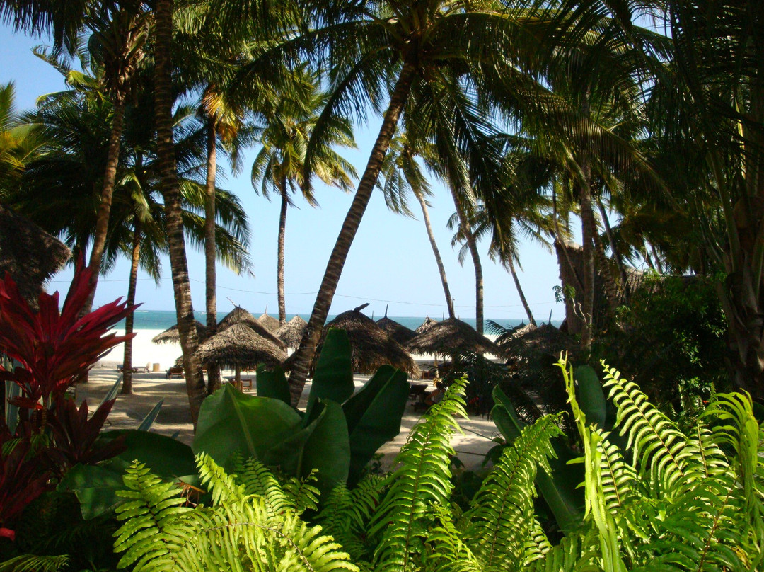 Pinewood Beach Resort and Spa主图