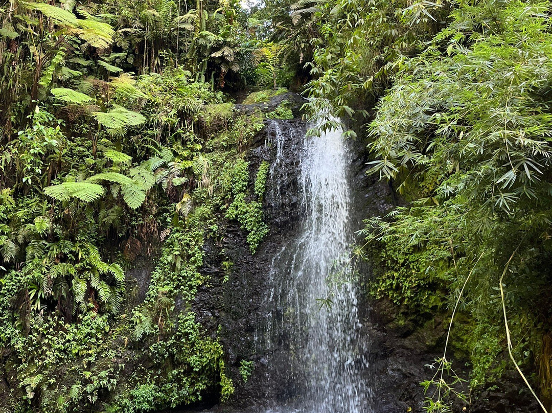 Le SDG - Cascade-Fonds Saint Denis必去景点