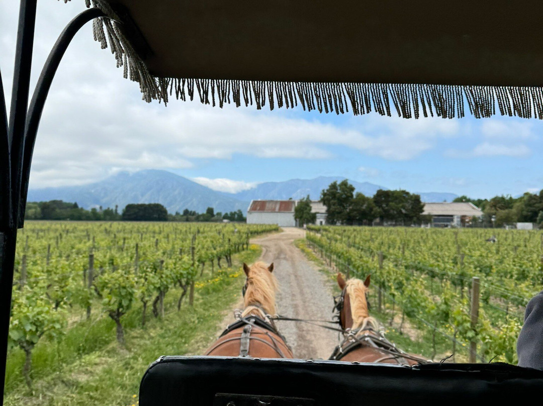 Queulat Expediciones-圣地亚哥必去景点