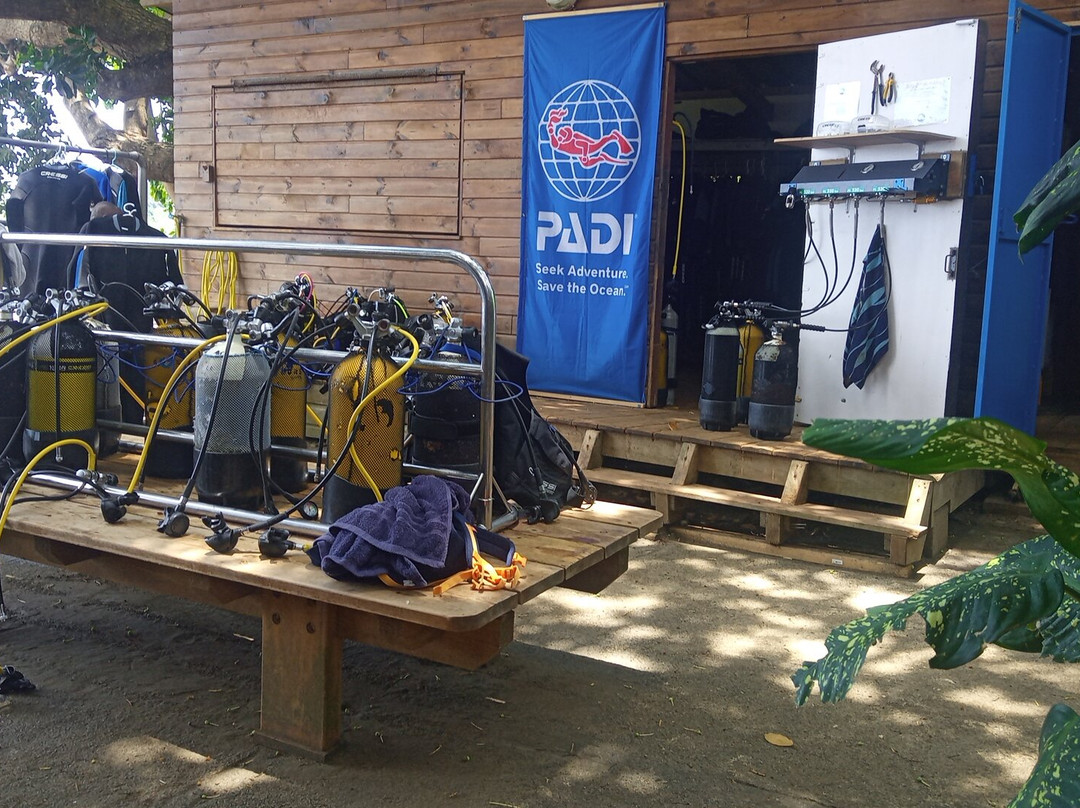 Abalone Plongée-Boueni必去景点