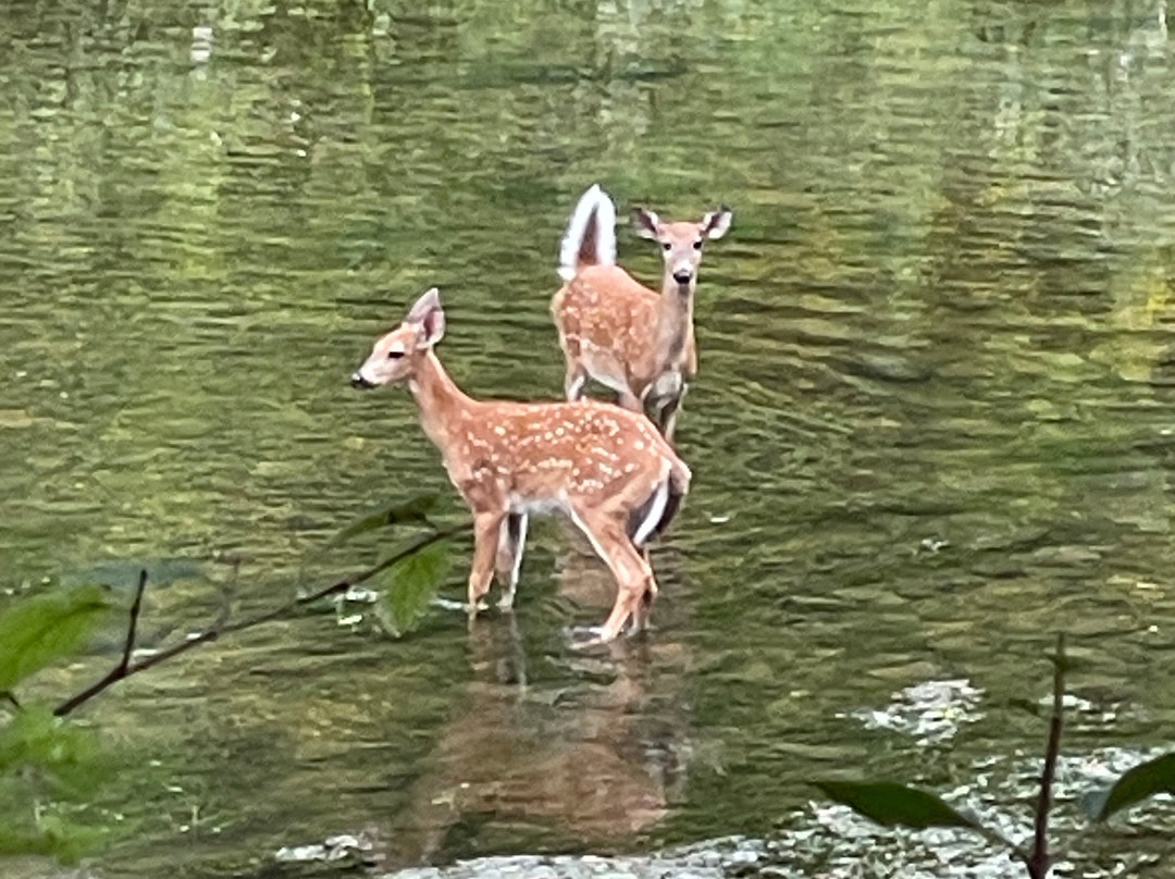 Humiston Woods Nature Center-Pontiac必去景点