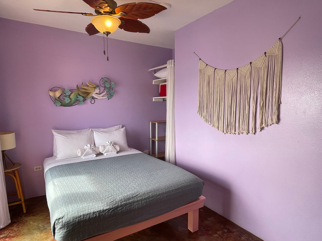 弗莱波扬旅馆主图