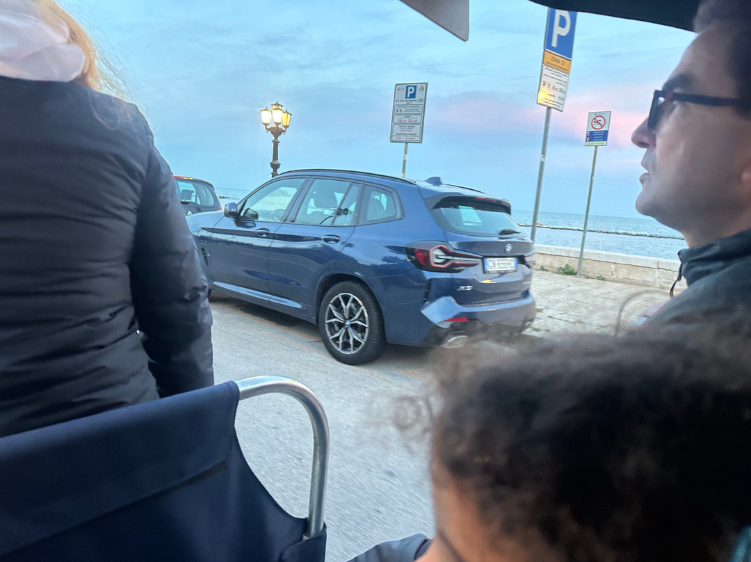 Velo Service - Bike Rental & Tours-莱切必去景点