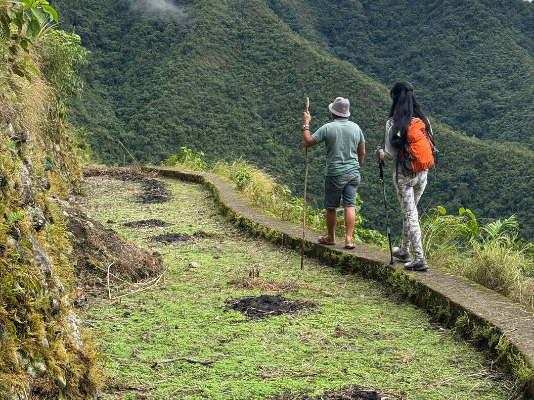 Rita's Mount View Inn主图