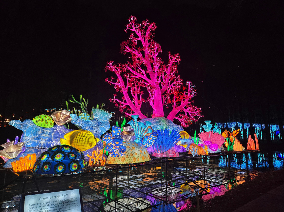 North Carolina Chinese Lantern Festival景点图片