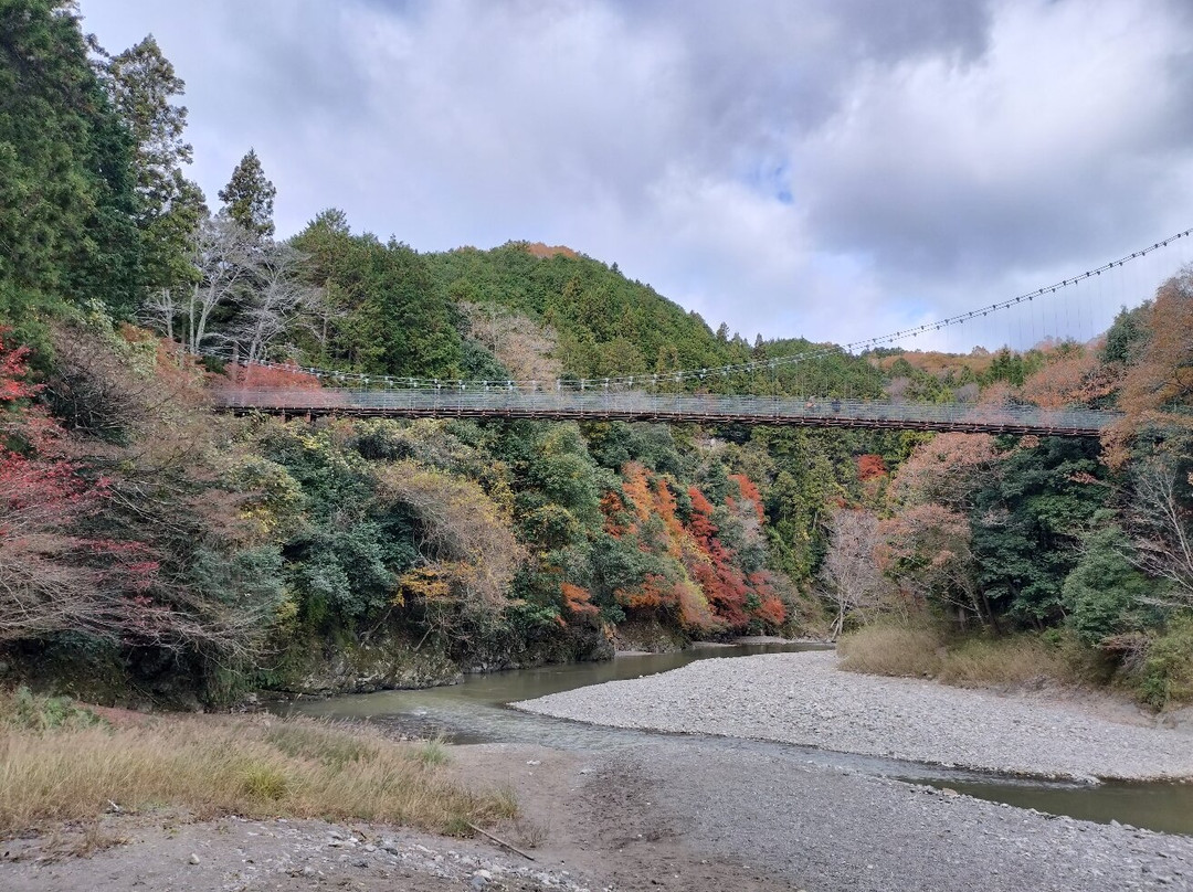 Tara Canyon-大垣市必去景点