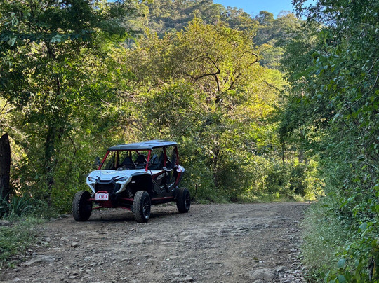 Groovy's Advenutres-Coco必去景点