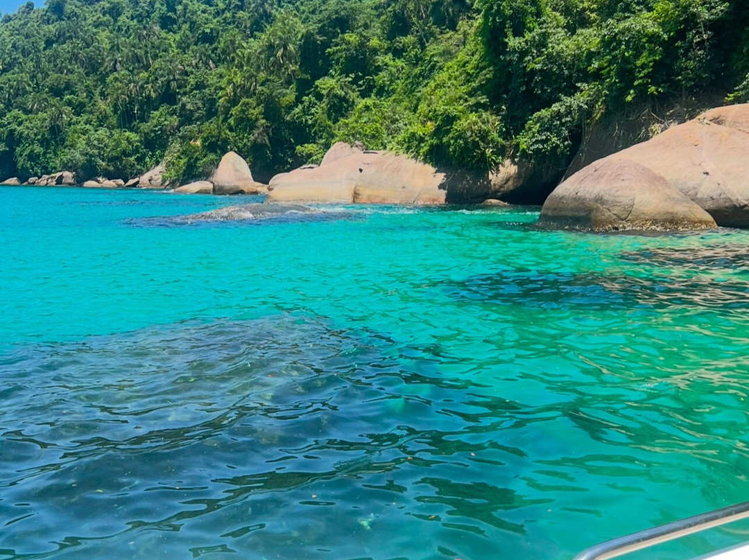 Barco gladiador景点图片