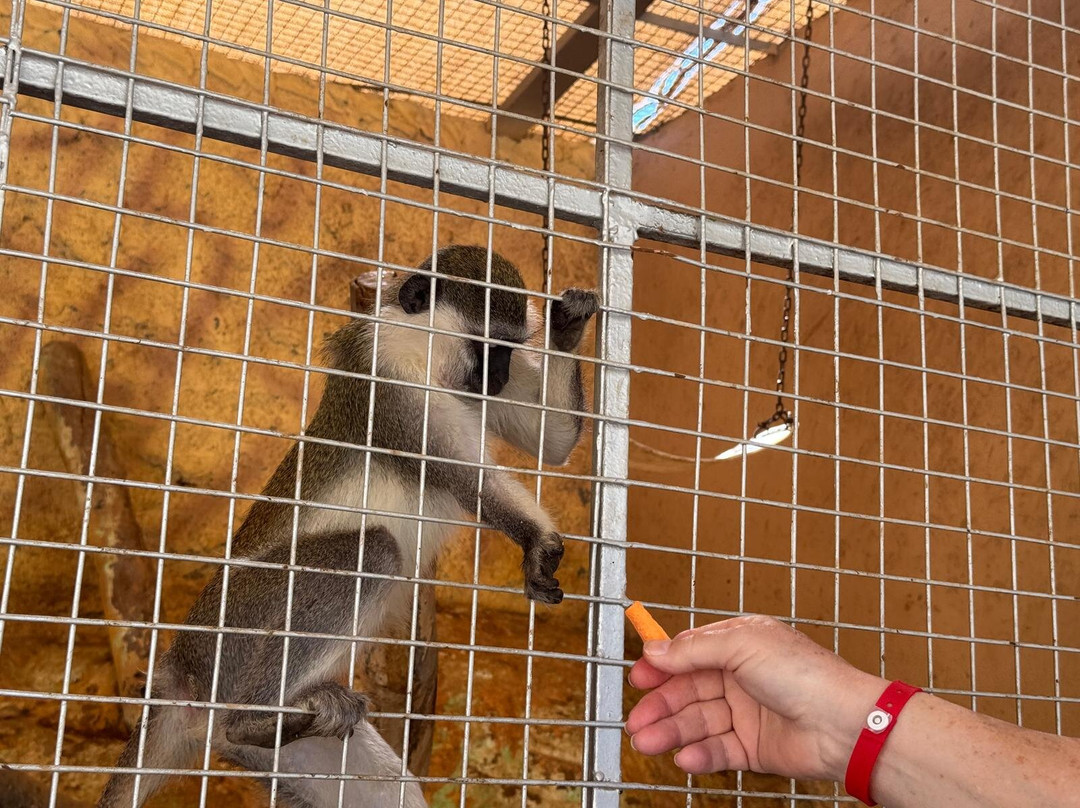 Hurghada Grand Aquarium-赫尔格达必去景点